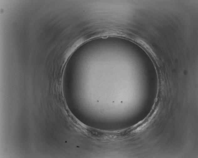 X0000066941097200603311411