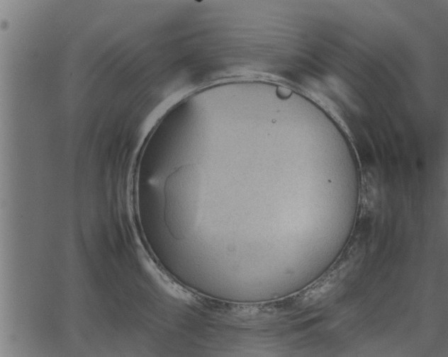 X0000066941098200603311411