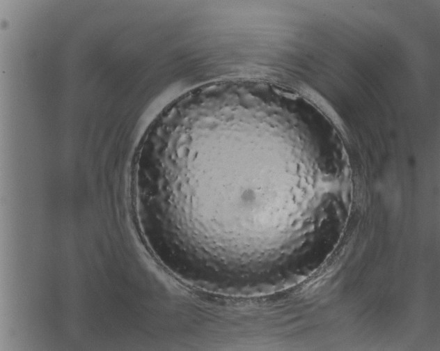 X0000066941099200603311411