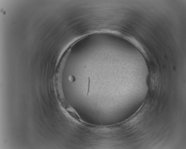 X0000066941100200603311411