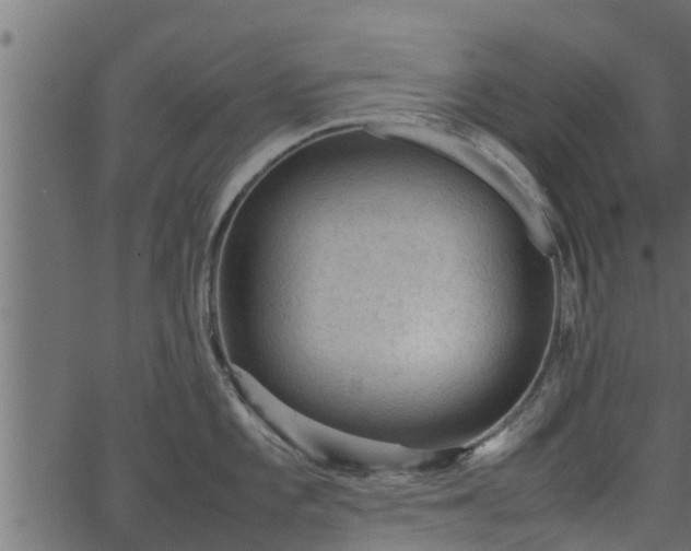 X0000066941101200603311411