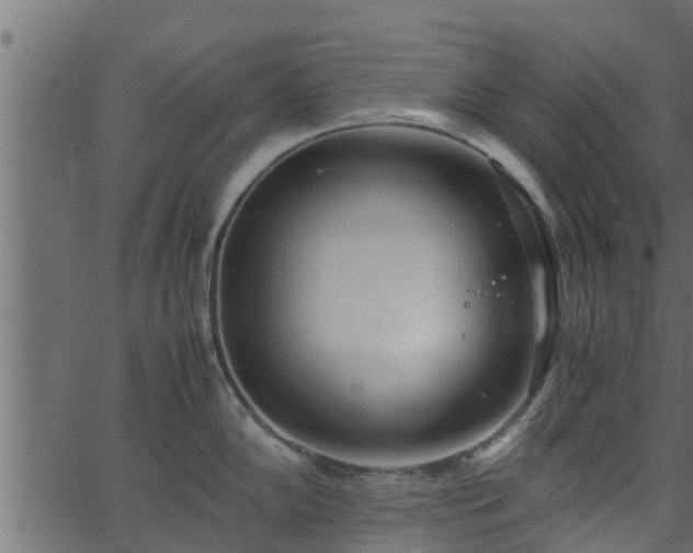 X0000066941102200603311411