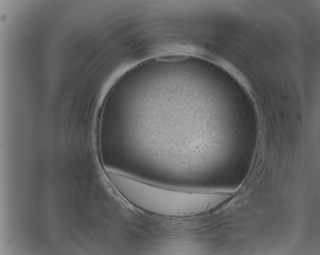 X0000066941104200603311411