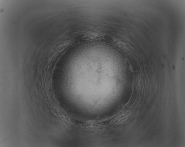 X0000066941105200603311410