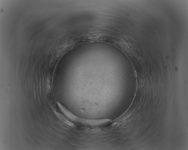 X0000066941106200603311410