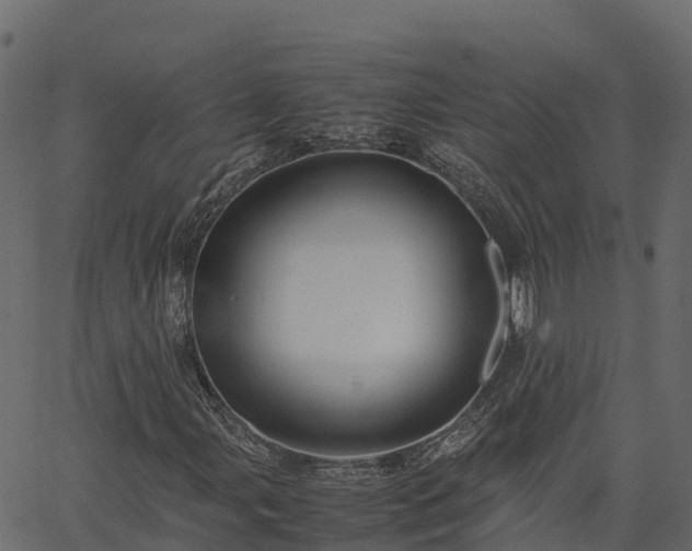 X0000066941107200603311410