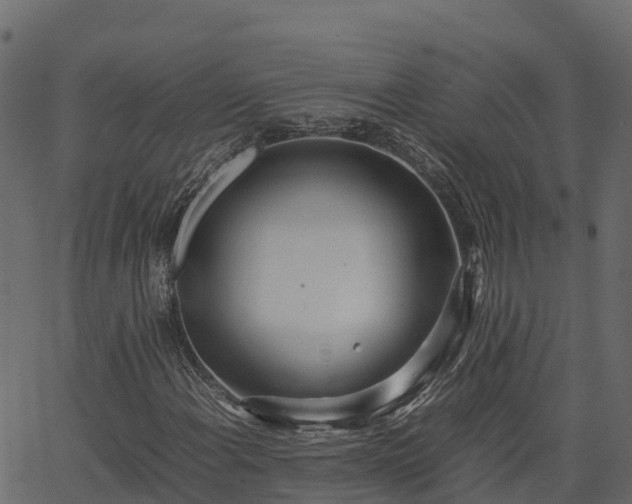 X0000066941108200603311410