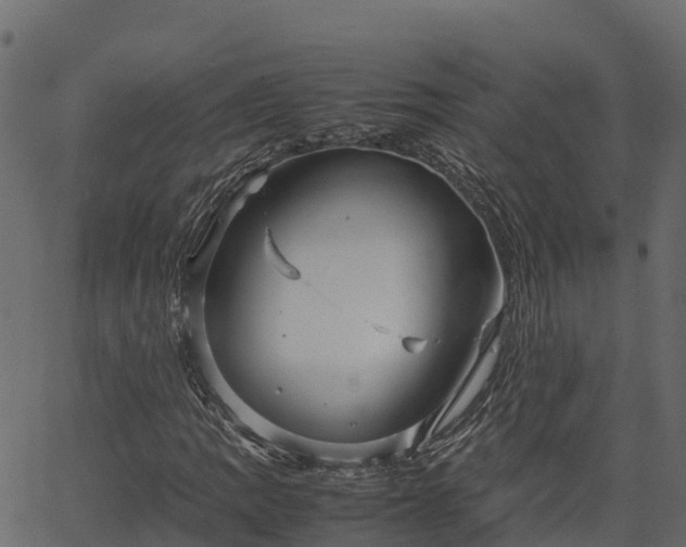 X0000066941109200603311410