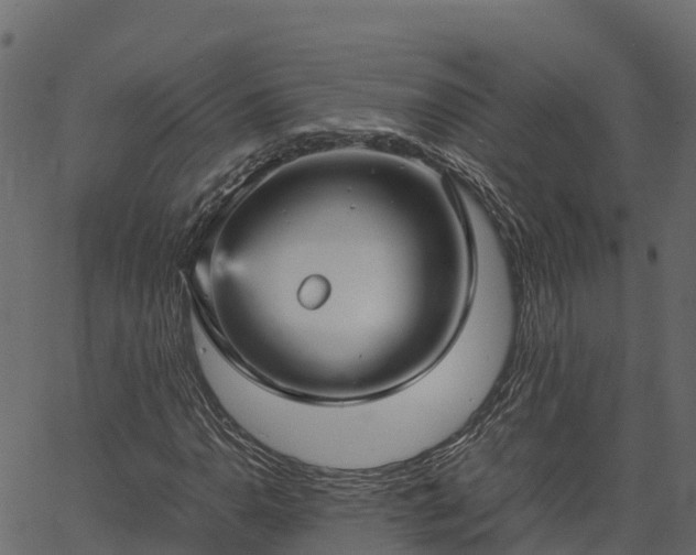 X0000066941110200603311410