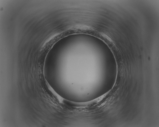 X0000066941112200603311410