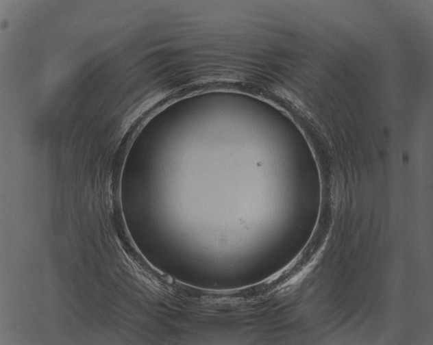 X0000066941113200603311410