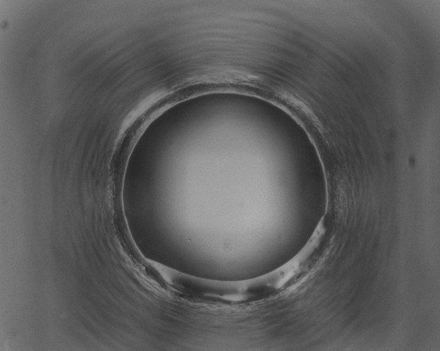 X0000066941114200603311410