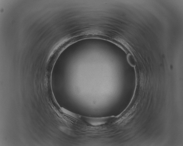 X0000066941115200603311410