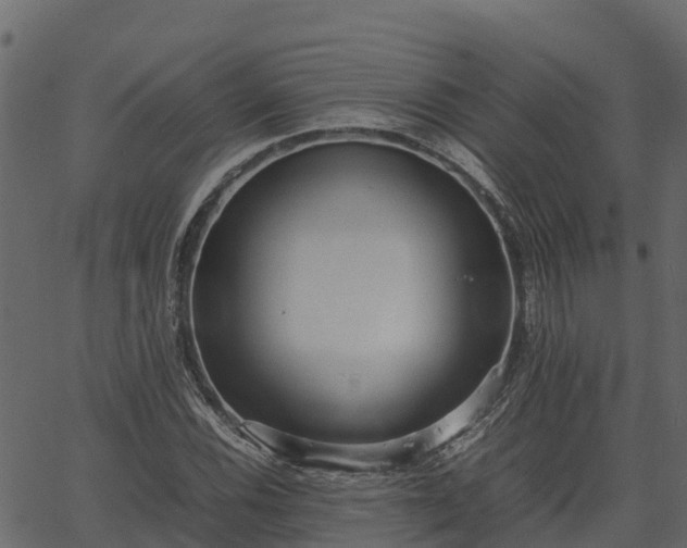 X0000066941116200603311410