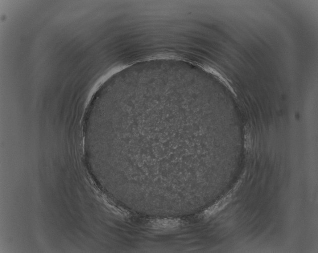 X0000066941117200603311410