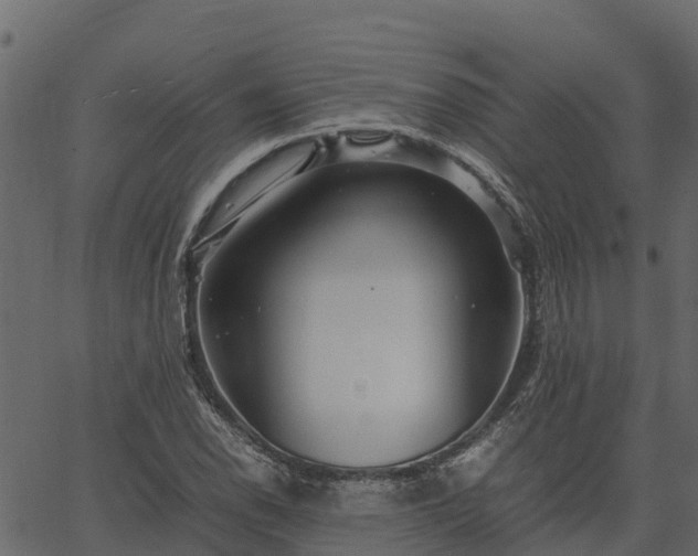 X0000066941118200603311410