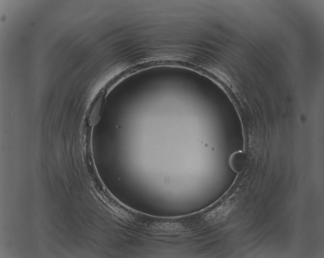 X0000066941119200603311410