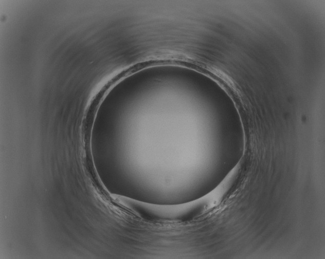 X0000066941120200603311410