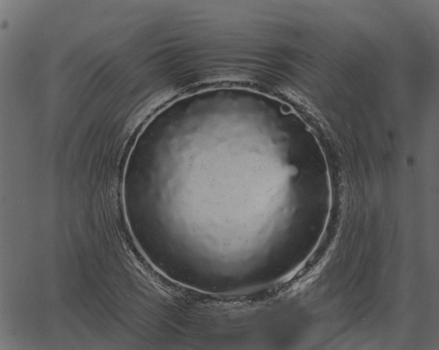 X0000066941121200603311410