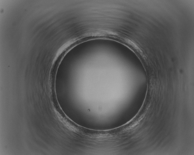 X0000066941122200603311410