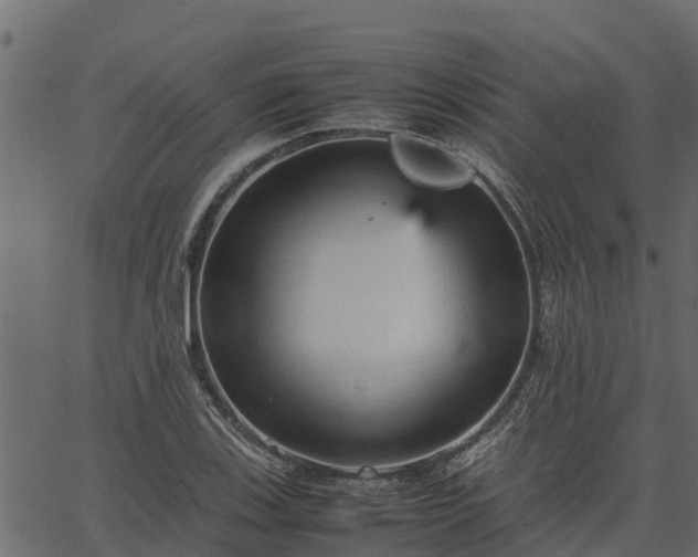 X0000066941123200603311410