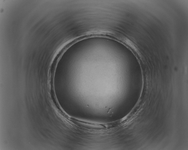 X0000066941124200603311410