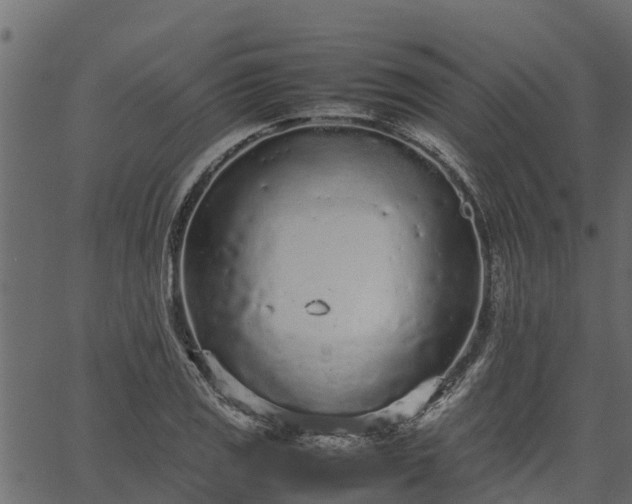 X0000066941125200603311410