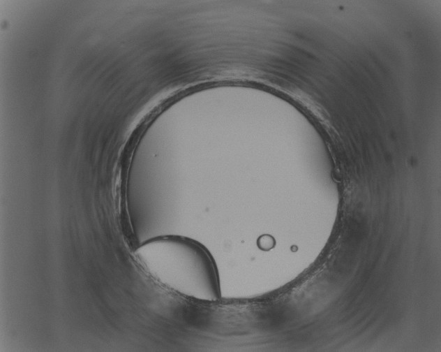 X0000066941126200603311410