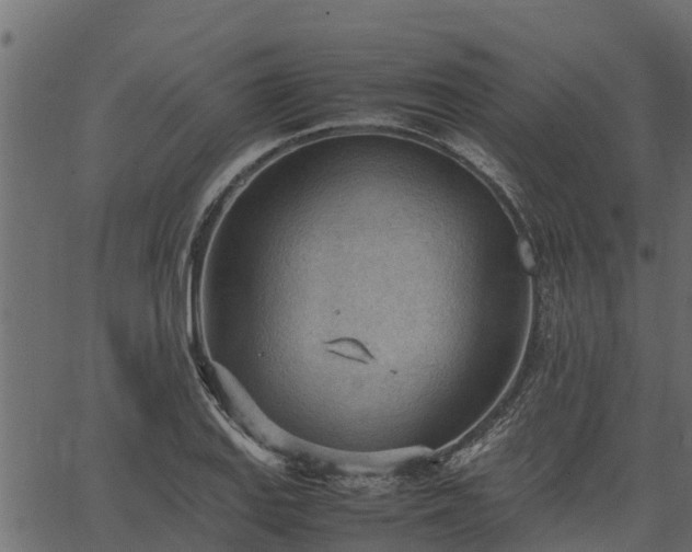 X0000066941127200603311410