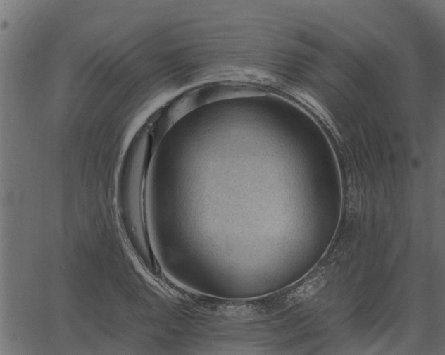 X0000066941128200603311410