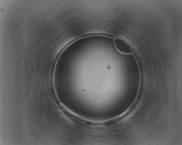 X0000066941129200603311410