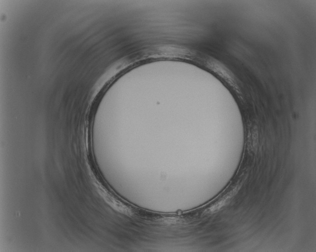 X0000066941130200603311410