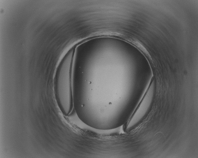 X0000066941132200603311410