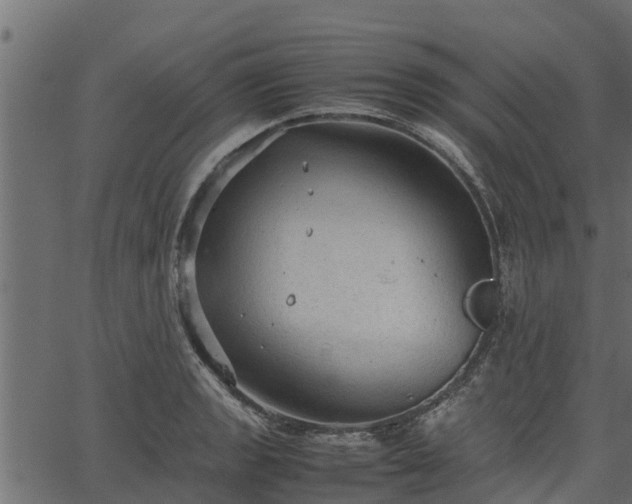 X0000066941133200603311410