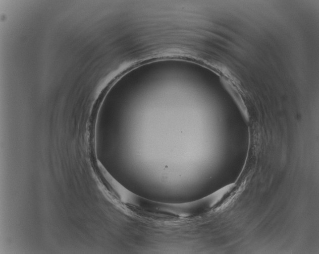 X0000066941134200603311410