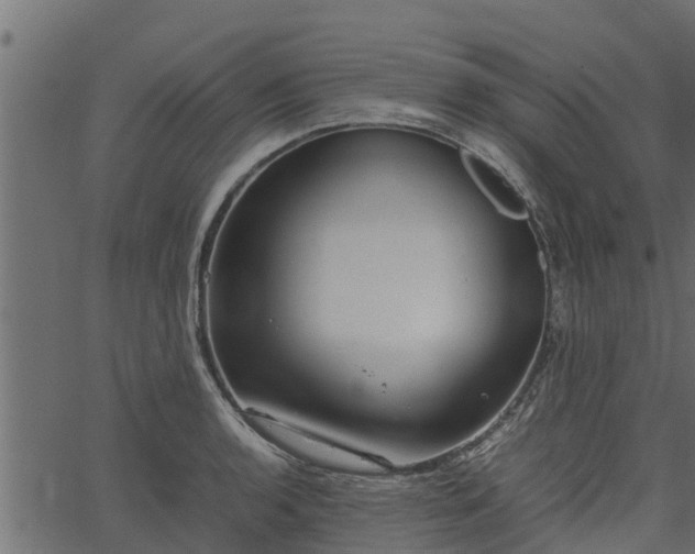 X0000066941136200603311410