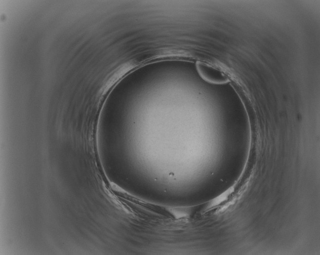 X0000066941137200603311410