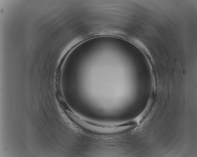 X0000066941138200603311410