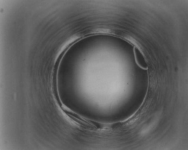 X0000066941139200603311410