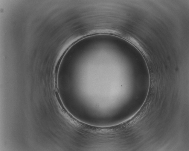 X0000066941140200603311410