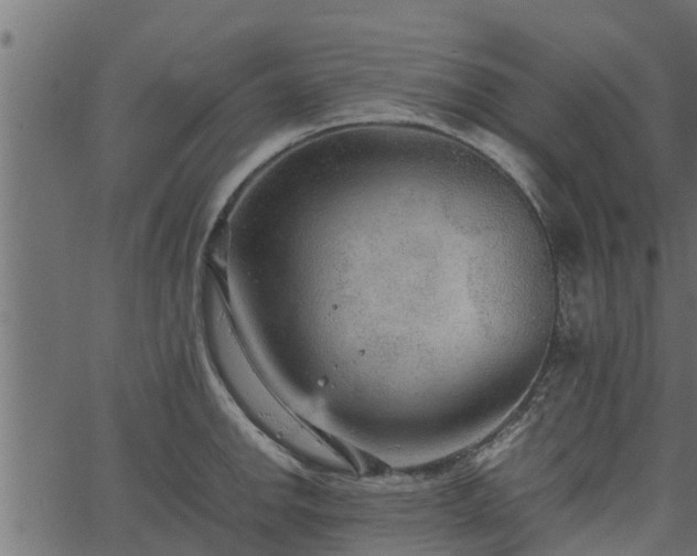 X0000066941142200603311410