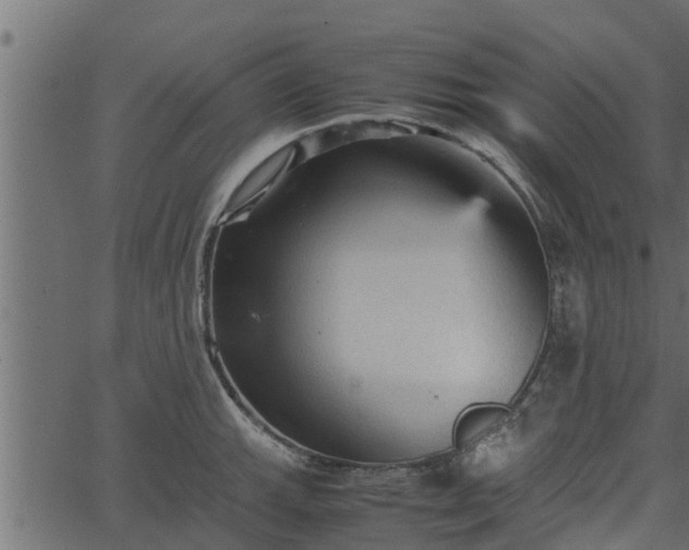 X0000066941143200603311410