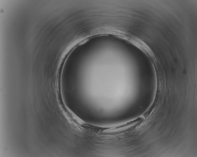 X0000066941144200603311410