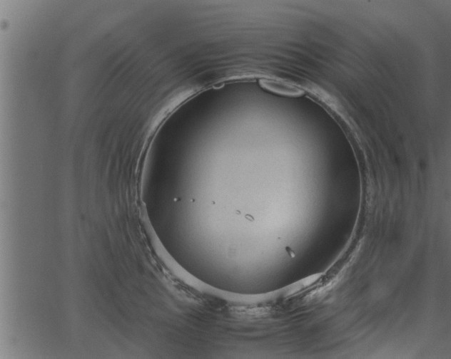 X0000066941145200603311410