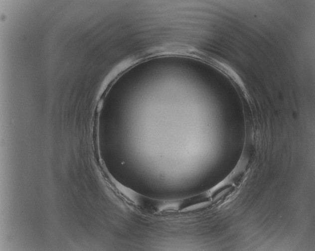 X0000066941146200603311410