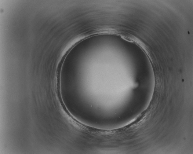 X0000066941147200603311411