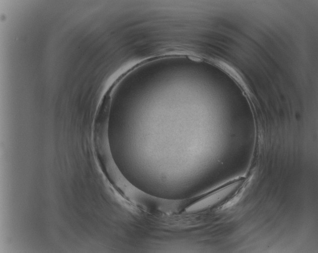 X0000066941149200603311411