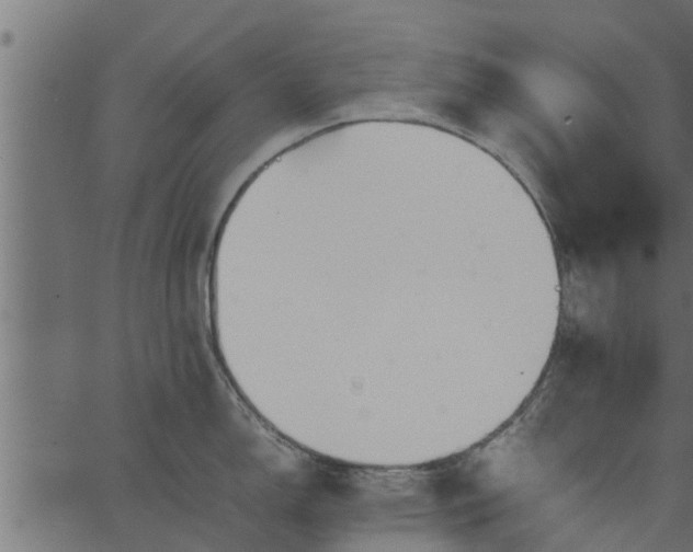 X0000066941150200603311411