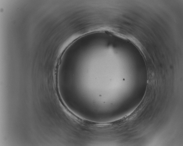 X0000066941151200603311411