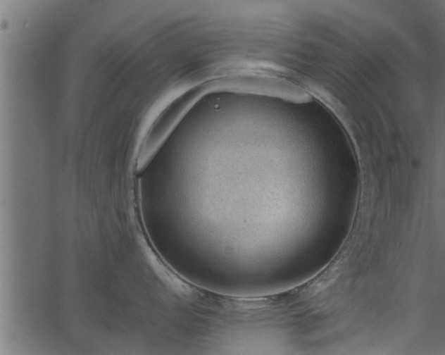 X0000066941152200603311411